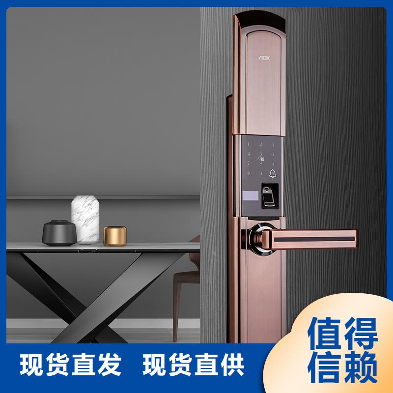 智能锁人脸识别智能锁价格库存丰富