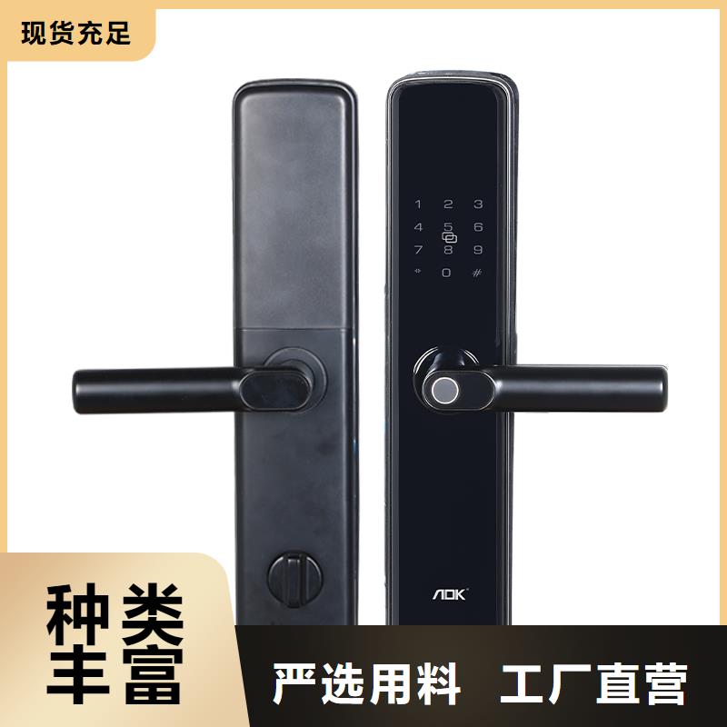 智能锁智能锁生产厂家专业生产厂家