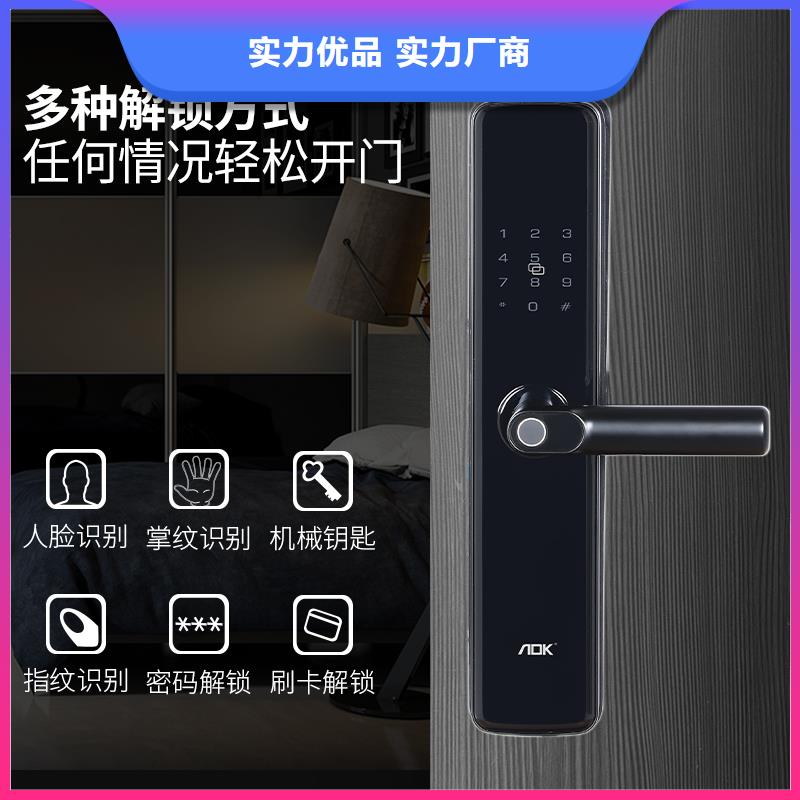 智能锁密码锁厂家今日新品