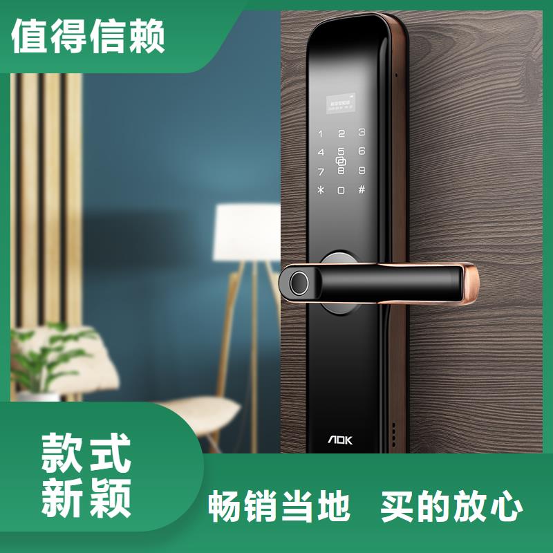 智能锁密码锁厂家今日新品