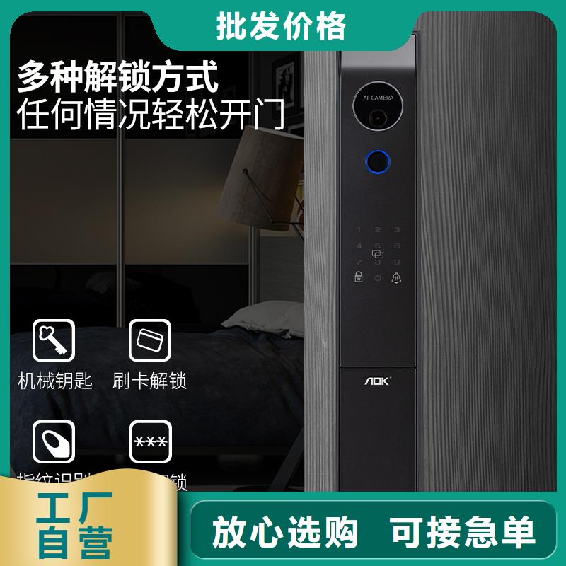智能锁人脸识别智能锁公司批发货源