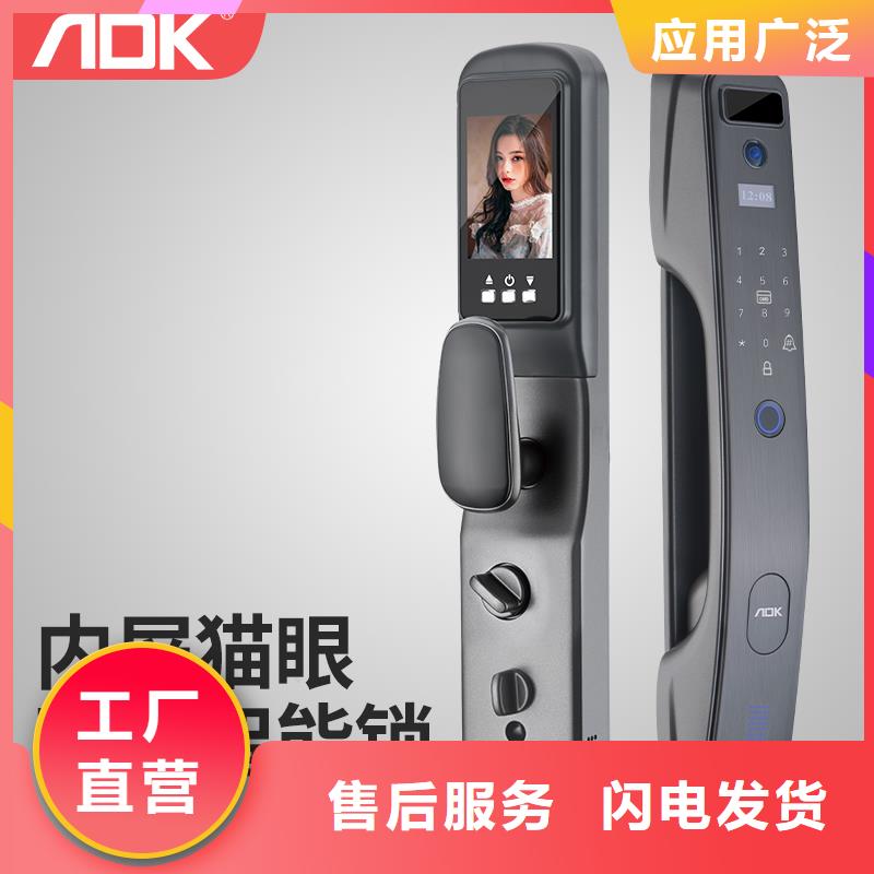 智能锁人脸识别智能锁厂品牌专营