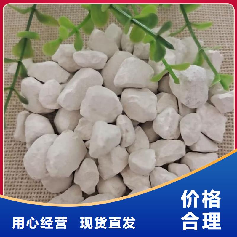 石灰生石灰当日价格