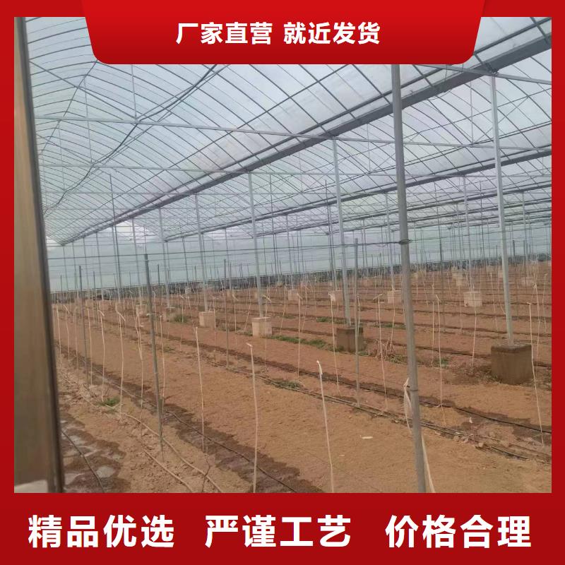 温室大棚太阳能光伏支架实力商家