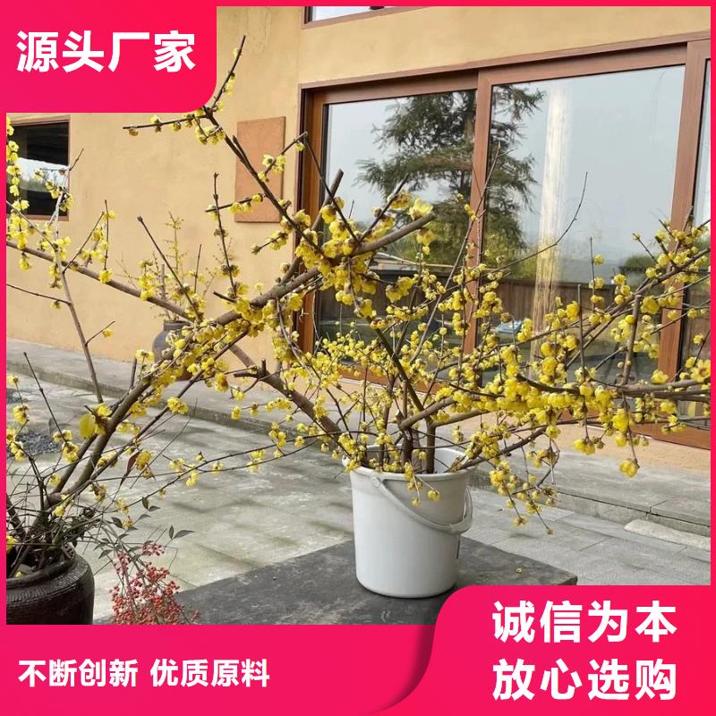 生态稻草漆，老房翻新，农家小院，稻草漆厂家施工