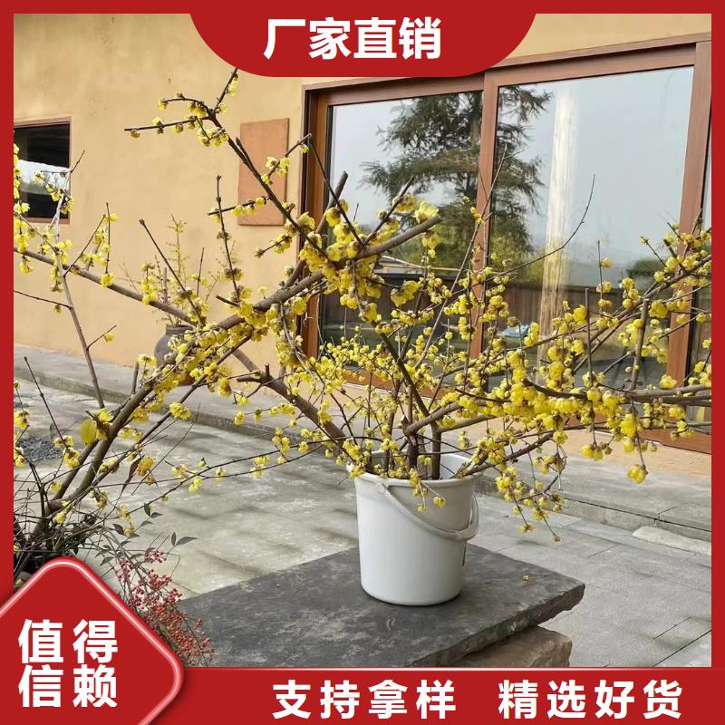 稻壳漆厂家批发,承接工程