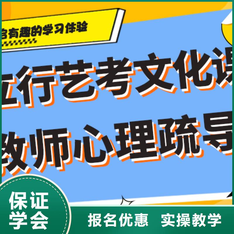 艺考生文化课美术生文化课培训老师专业