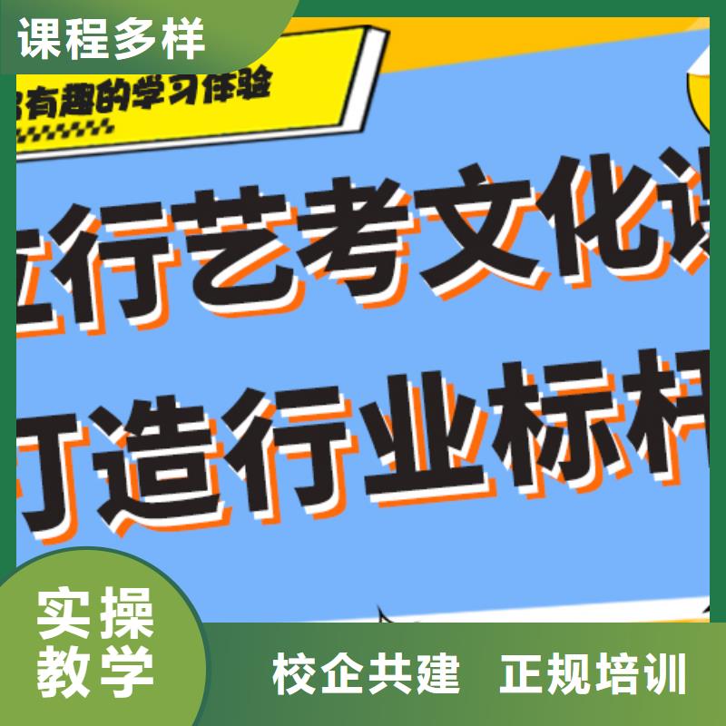 艺考生文化课-高考辅导手把手教学