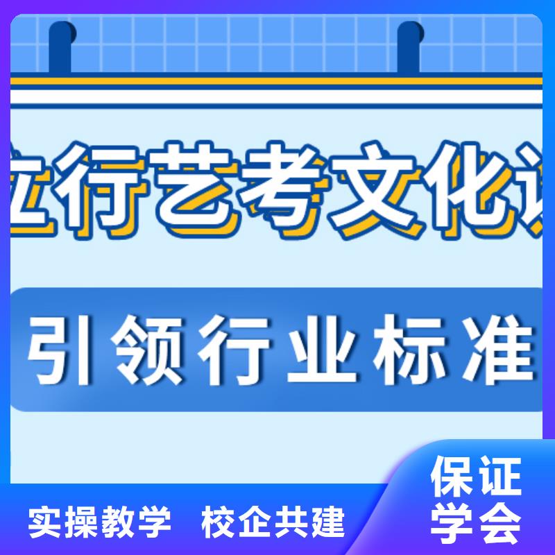 哪里有卖【老师专业艺考生文化课手把手教学】-本地厂家_供应案例