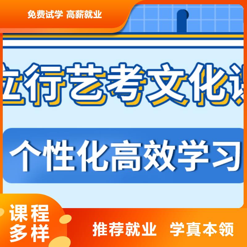 艺考生文化课美术生文化课培训老师专业