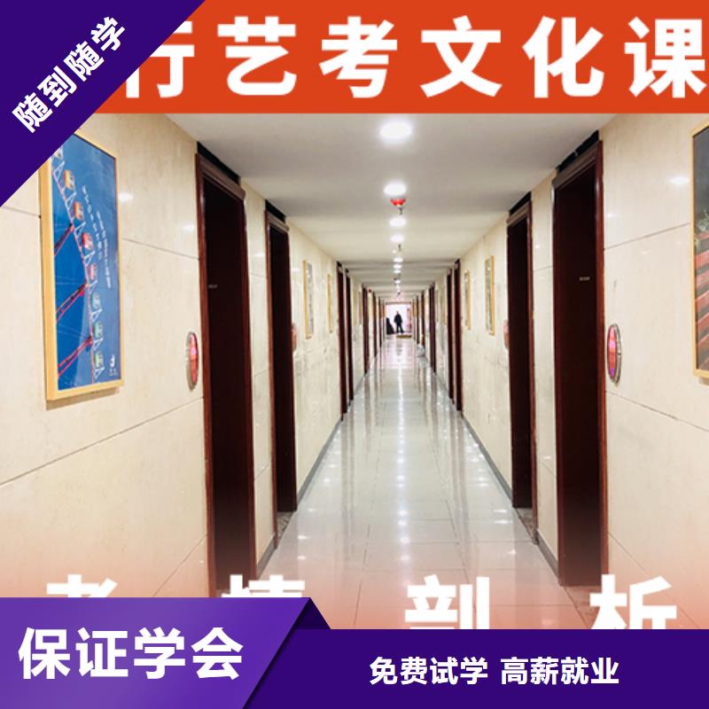 艺考生文化课美术生文化课培训老师专业