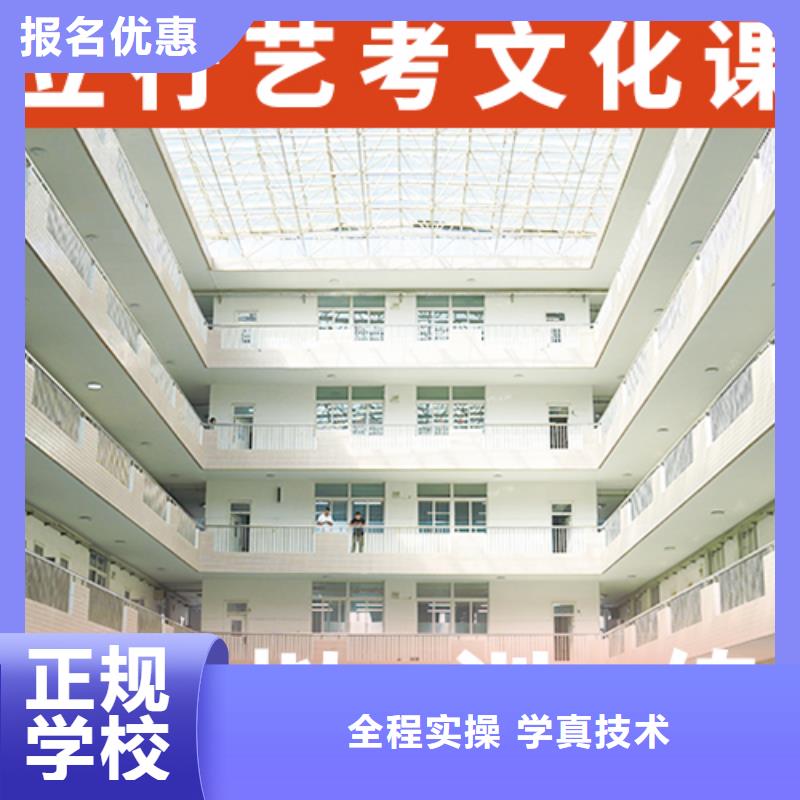 哪里有卖【老师专业艺考生文化课手把手教学】-本地厂家_供应案例