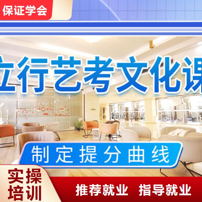 艺考文化课集训艺考老师专业