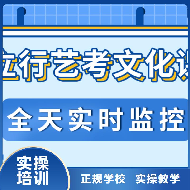 艺考文化课艺考一对一教学指导就业