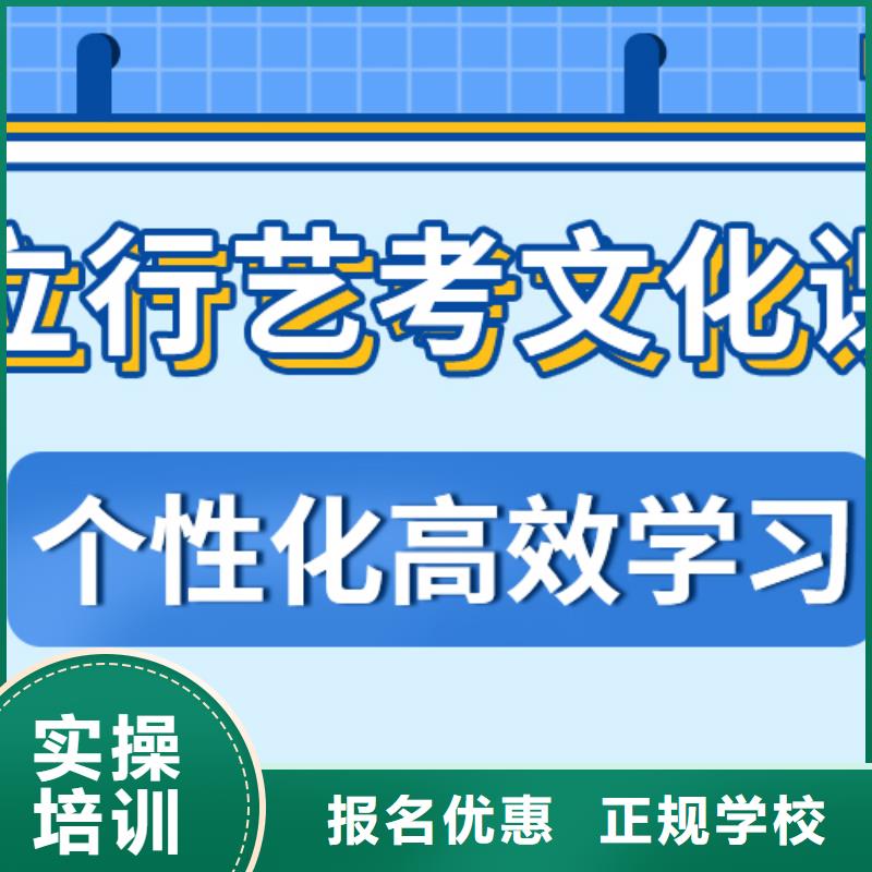 艺考文化课高考语文辅导理论+实操