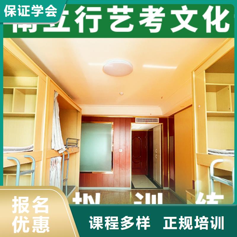 艺考文化课高考语文辅导理论+实操