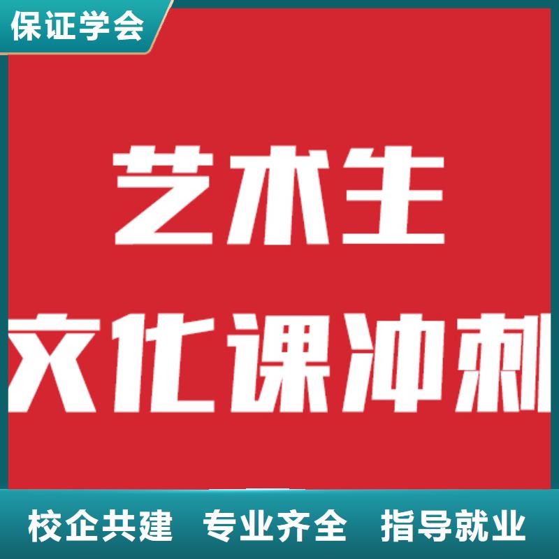 艺考文化课培训【舞蹈艺考培训】课程多样