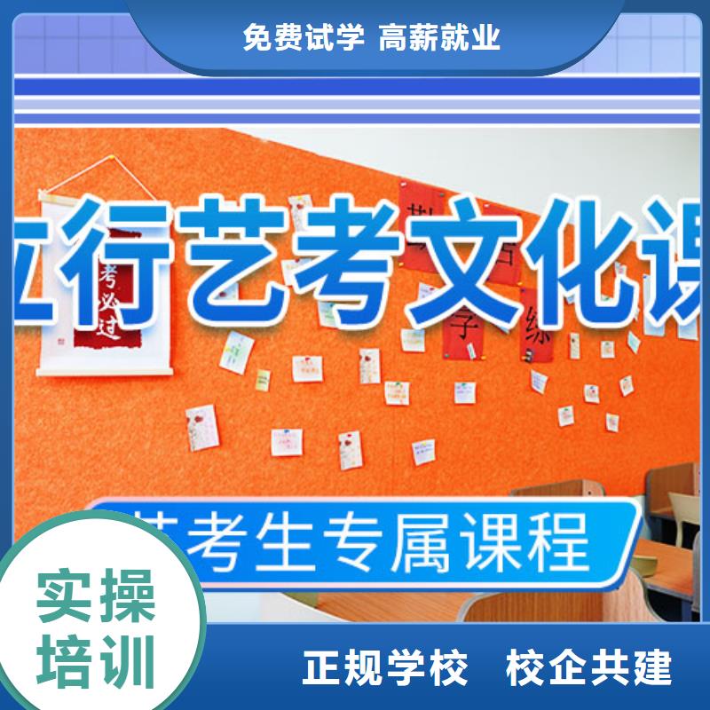 艺考文化课高考复读晚上班手把手教学