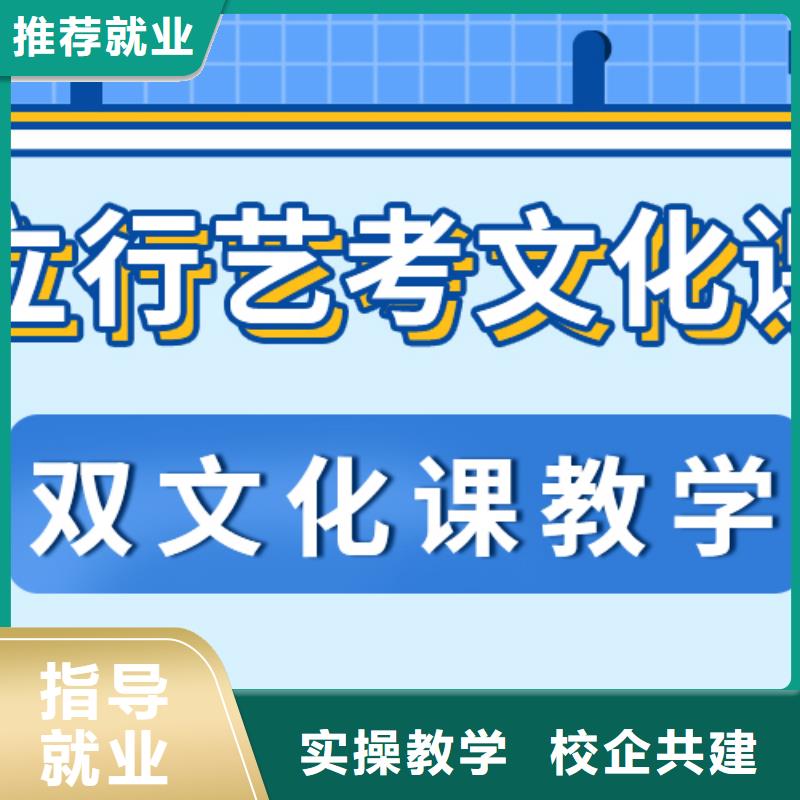艺考文化课培训班-【高三复读】学真技术