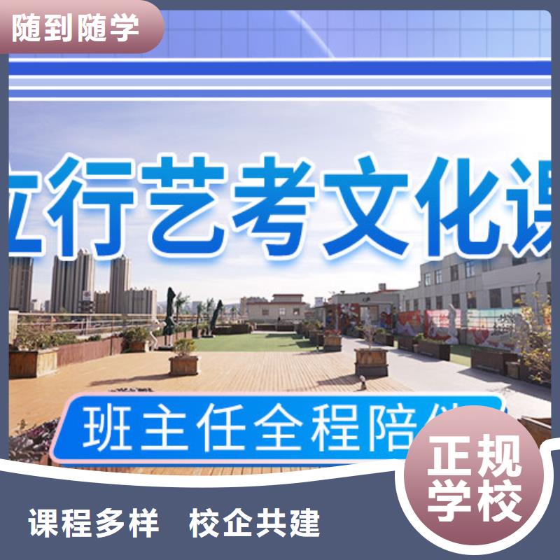 艺考文化课冲刺艺考文化课培训免费试学