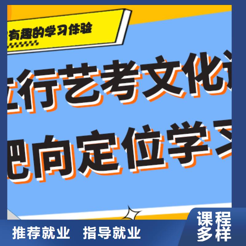 艺术生文化课补习机构一年多少钱艺考生文化课专用教材