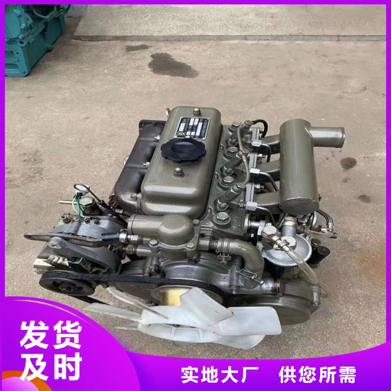 #贝隆柴油发电机#-专业厂家