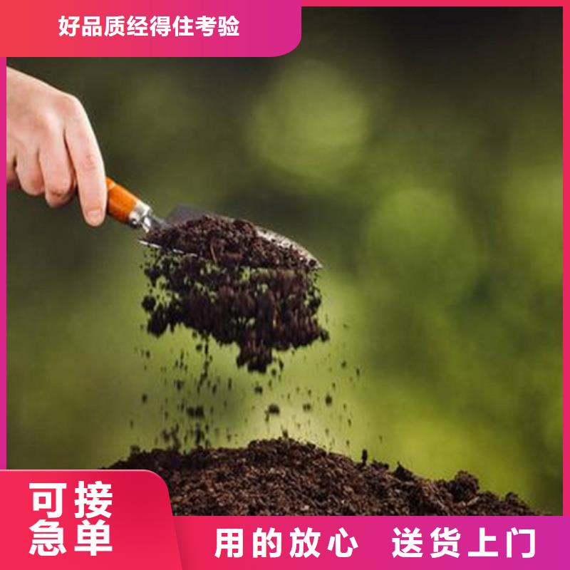 原生泰修路专用土壤固化剂正规生产厂家