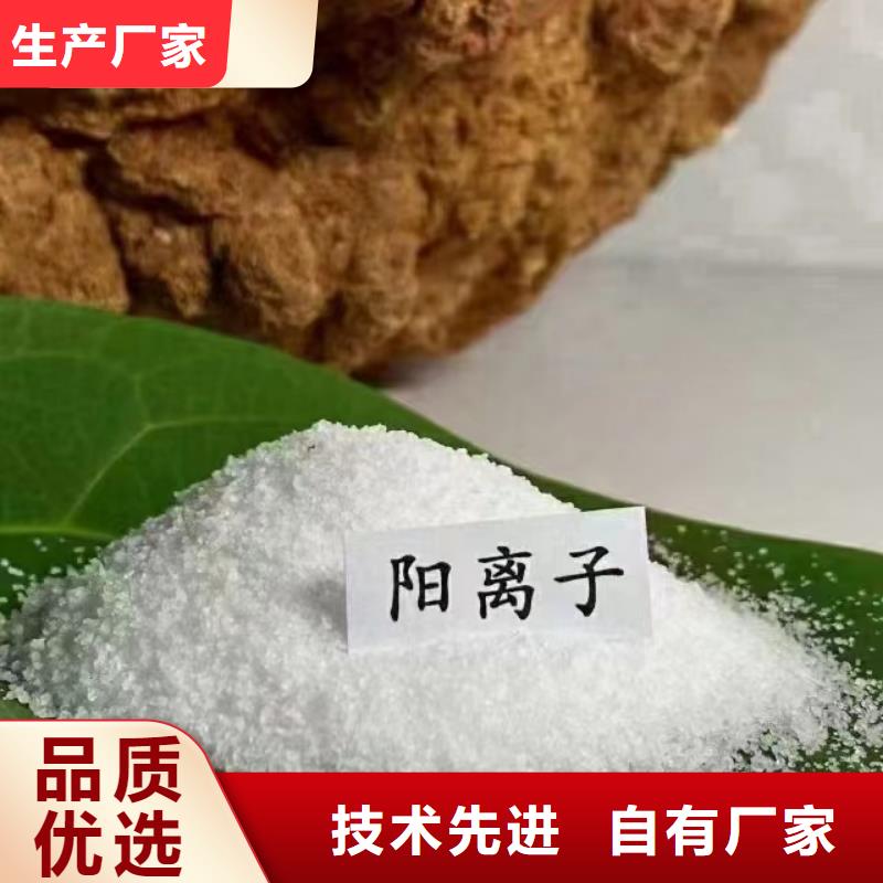  聚丙烯酰胺工期短发货快