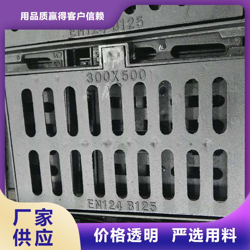 双篦子球墨铸铁在线报价建通铸造厂家