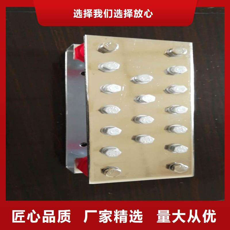紫铜排N年专注