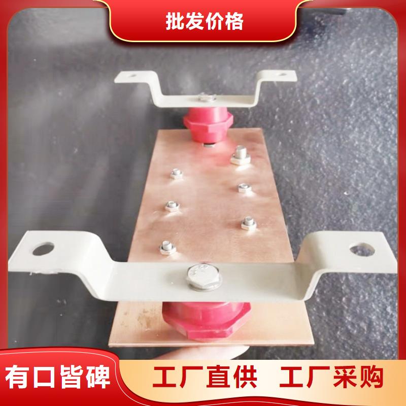 紫铜排的图文介绍