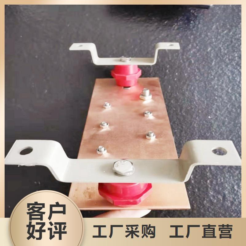 紫铜排今日新品