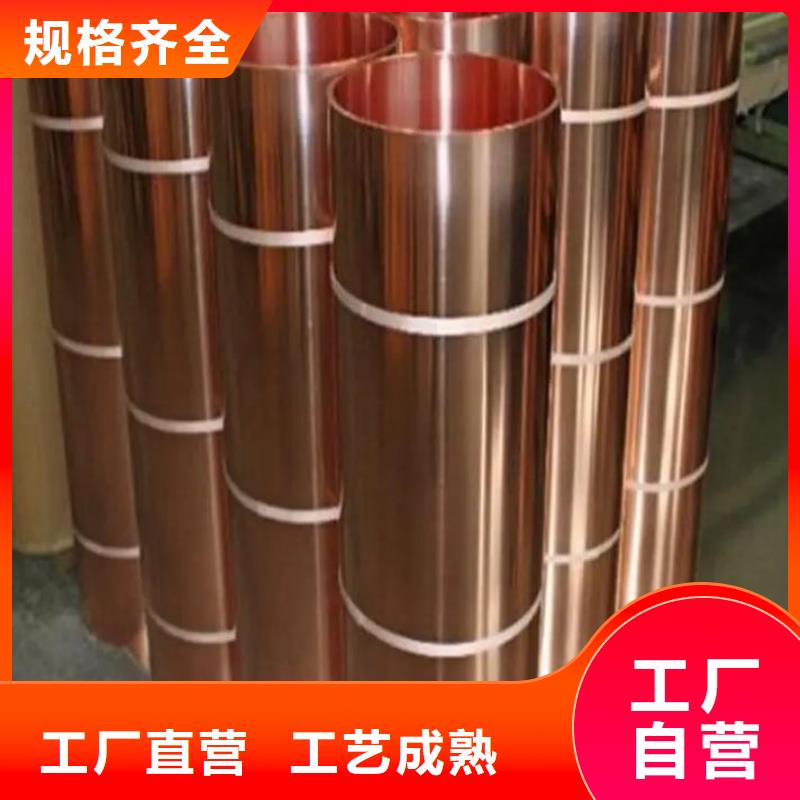 紫铜带品种全