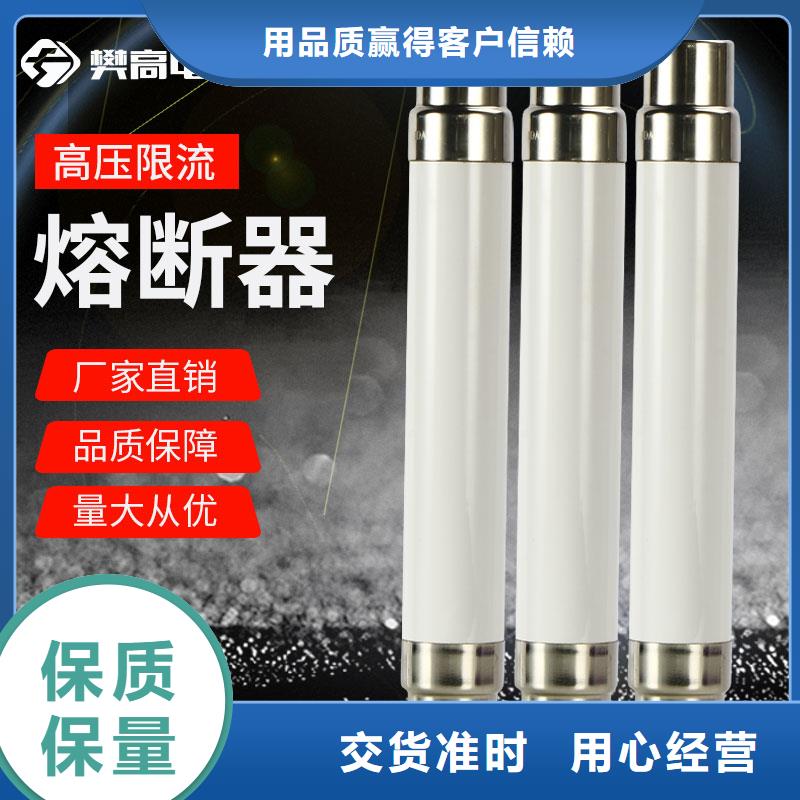 氧化锌避雷器批发-视频-湖南省郴州市樊高氧化锌避雷器批发可服务区域桂东|桂阳|岳阳|永州|常德|益阳|湘西|衡阳|邵阳等