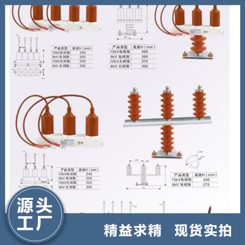 氧化锌避雷器批发视频-内江市氧化锌避雷器批发-同城可服务区域隆昌|威远|攀枝花|南充|广安|德阳|遂宁|凉山|成都