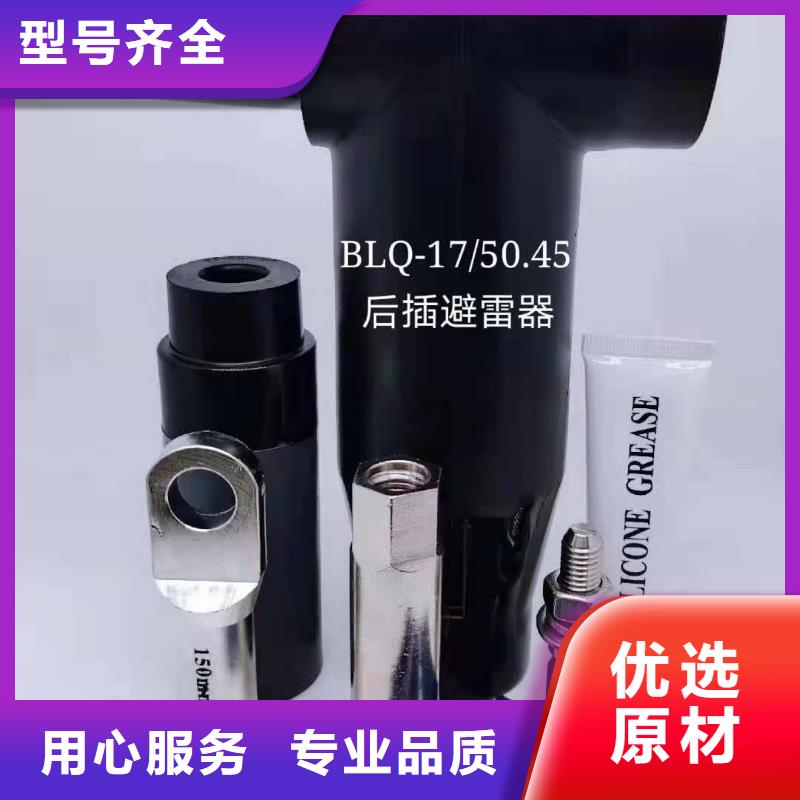氧化锌避雷器批发-视频-嘉兴市氧化锌避雷器批发-浙江省嘉兴市海宁|嘉善|金华|台州|舟山|杭州|温州|宁波【此地】厂家