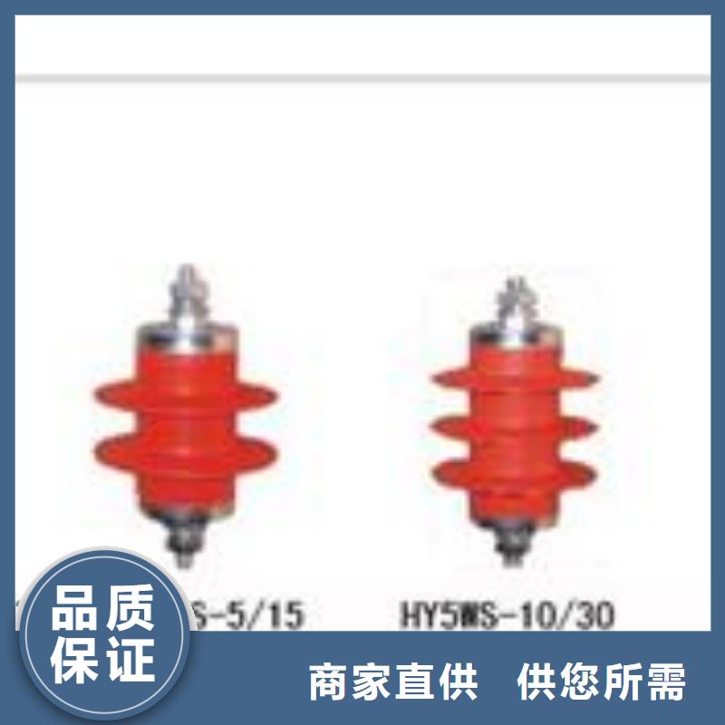 HY5WD-17.5/40电机型避雷器