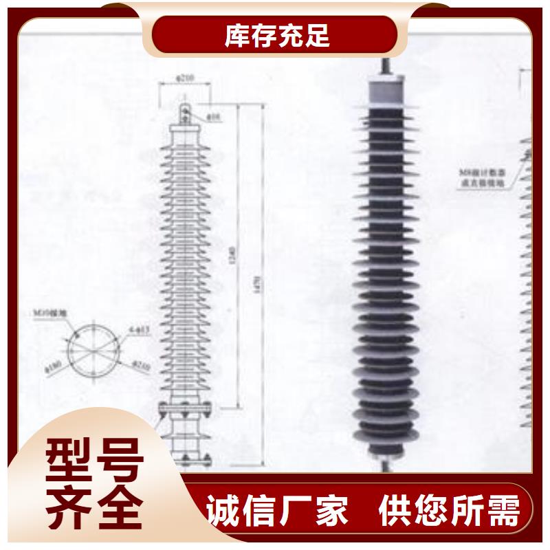 HY5WD-17.5/40电机型避雷器