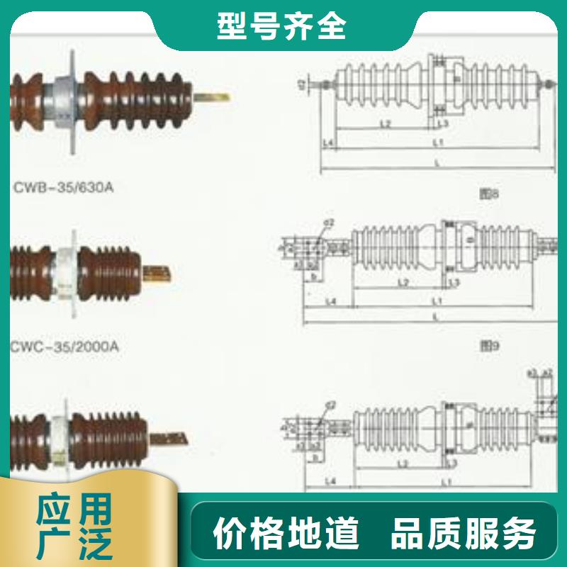 CWB-35/630高压穿墙套管