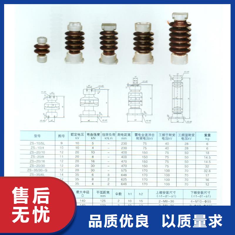 绝缘子-高压开关柜实力优品