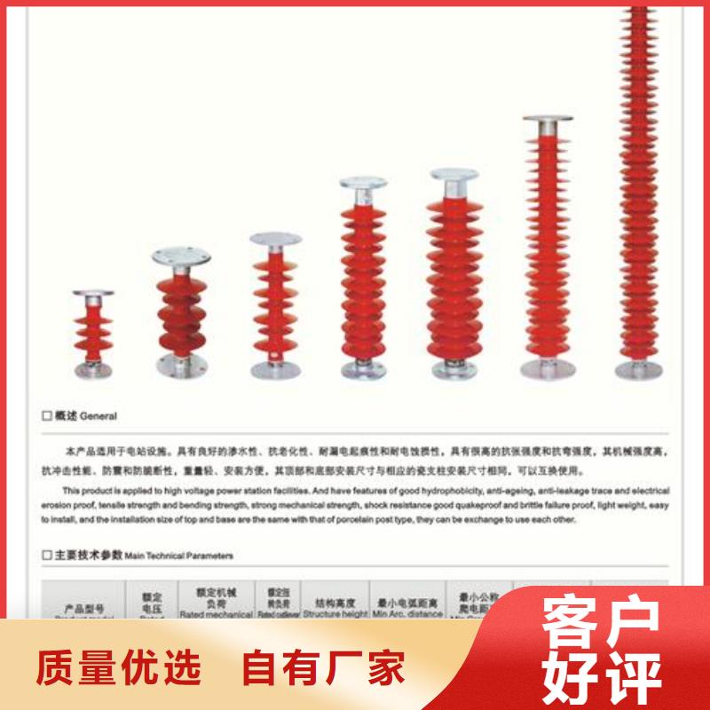 绝缘子真空断路器品质过硬