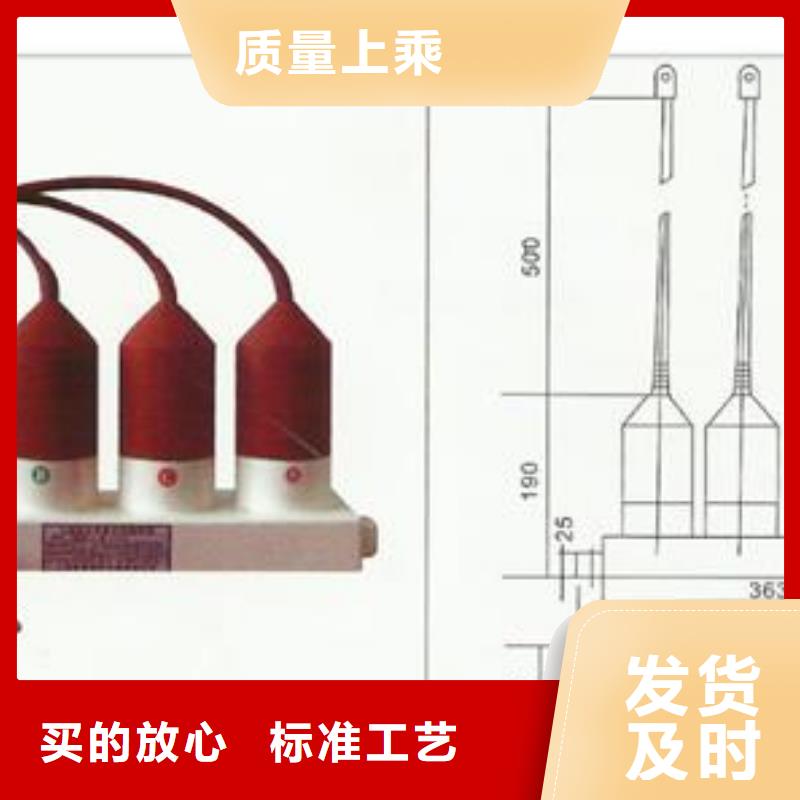 【过电压保护器氧化锌避雷器生产厂家口碑好实力强】