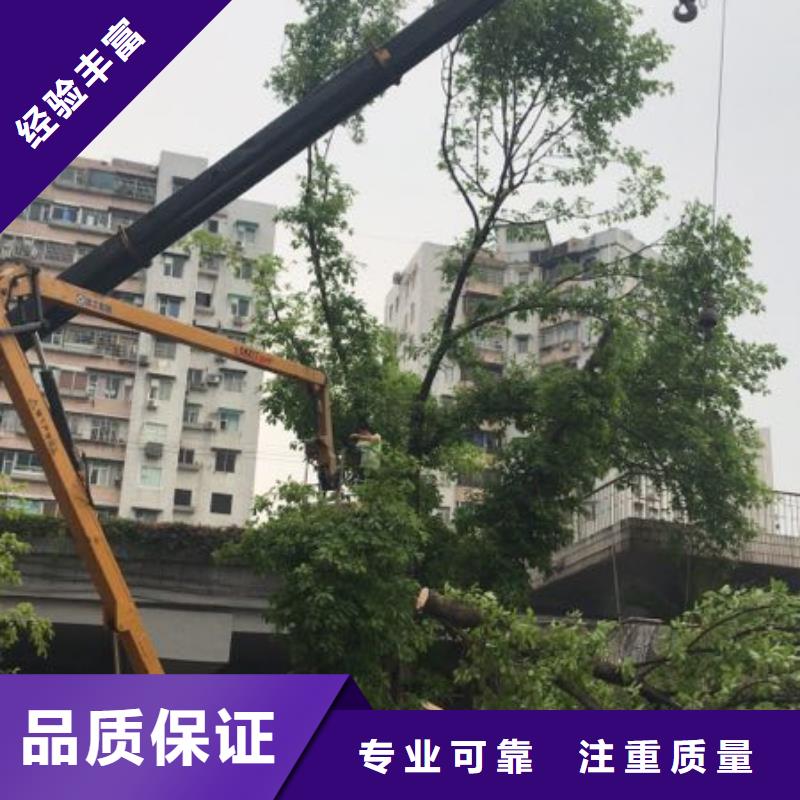出租升吊车-视频-出租升吊车-陕西省榆林市【周边】厂家-清涧|榆阳|安康|西安|宝鸡|商洛