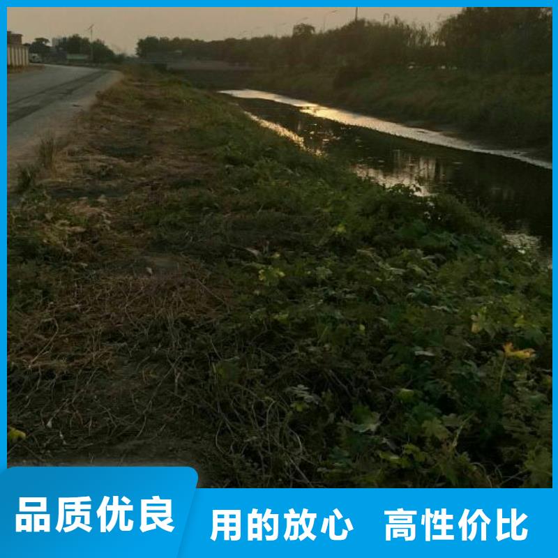 污泥处理淤泥改性固化剂品质优选