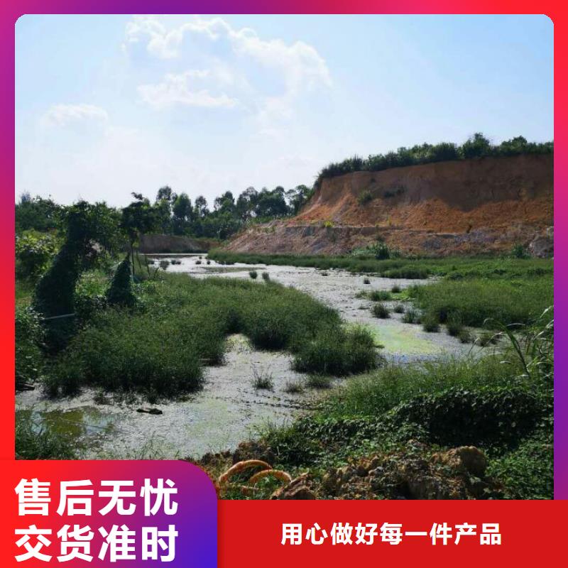 污泥处理生物酶土壤固化剂专业生产团队