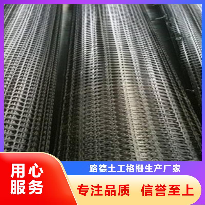 《路德》【双向塑料格栅】三维植被网实体厂家大量现货-v651.com