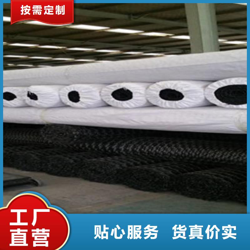 双向塑料格栅_【防裂贴抗裂贴】真正的源头厂家-服务范围包括信州|弋阳|萍乡|吉安|九江|南昌|抚州|宜春等