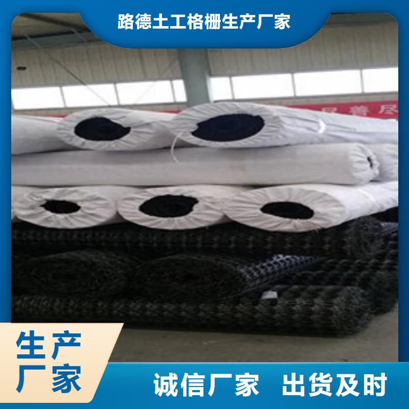 双向塑料格栅_【防裂贴抗裂贴】真正的源头厂家-服务范围包括信州|弋阳|萍乡|吉安|九江|南昌|抚州|宜春等