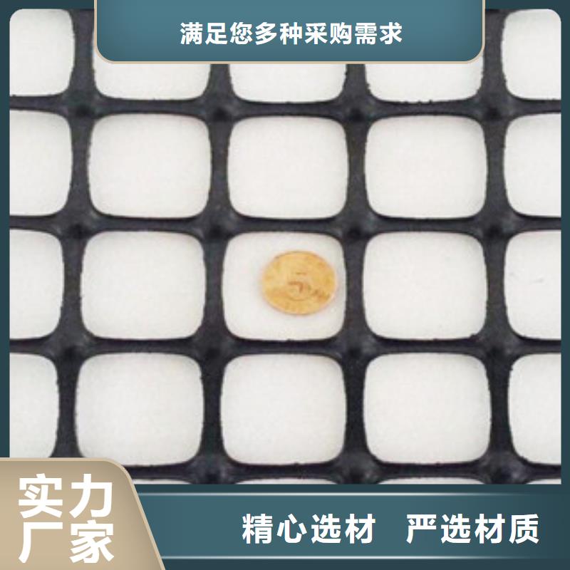 双向塑料格栅膨润土防水毯制造厂家