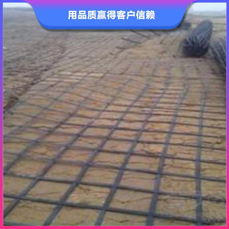 钢塑土工格栅膨润土防水毯品种全